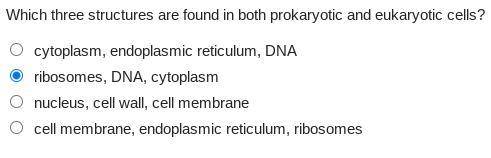 Which three structures are found in both prokaryotic and eukaryotic cells?