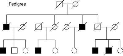 The inheritance pattern of a disorder is illustrated in the pedigree chart. What type of disorder i