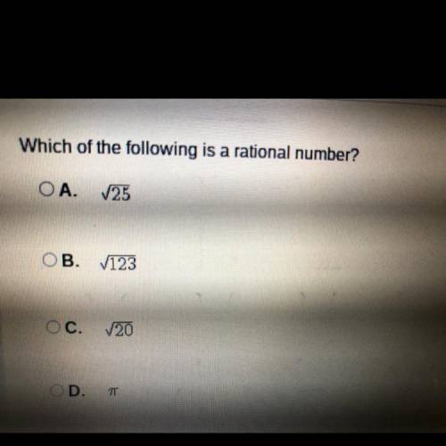 Which of the following is a which of the following is a rational number?

A. The square root of 24