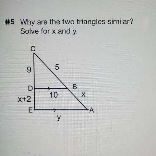 I need help with this geometry similarity question.