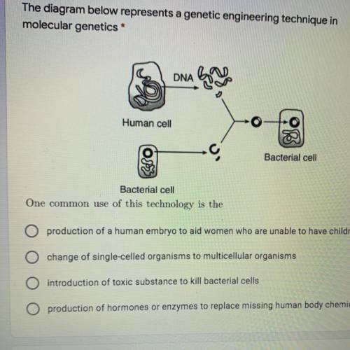 The diagram below represents a genetic engineering technique in

molecular genetics
DNA
Human cell
