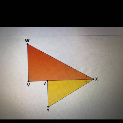 Determine how triangles WVX and YZX can be shown be similar.

A. Since angle WX cong angle YZX and