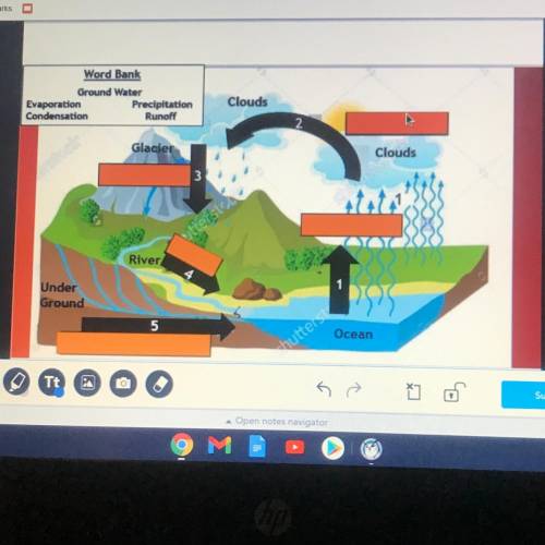 Please help me label the water cycle