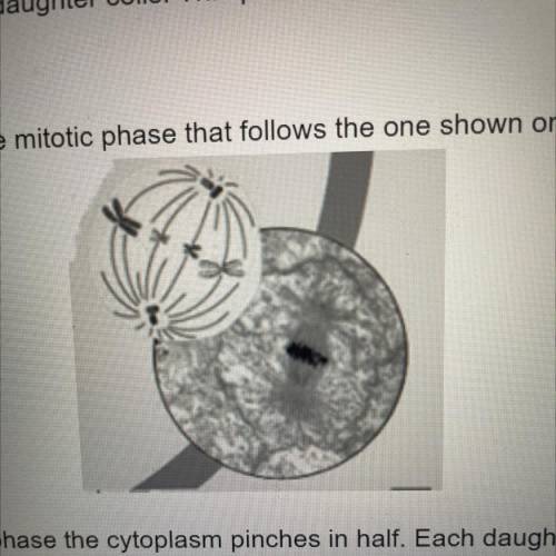 SOMEONE PLS HELP

The cell in the diagram is dividing. What is the mitotic phase that fo