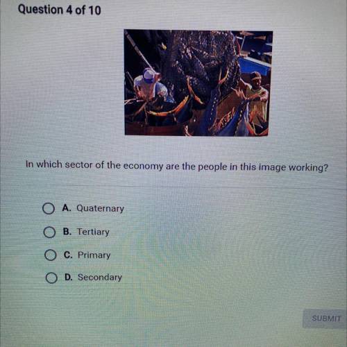 In which sector of the economy are the people in this image working?

A. Quaternary
B. Tertiary
C.
