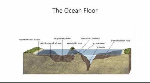 What are the first three parts of the ocean floor?