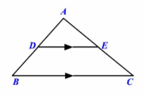 Are the two triangles below similar? If so, how?

Group of answer choices
Yes by SAS
Yes by AA
The
