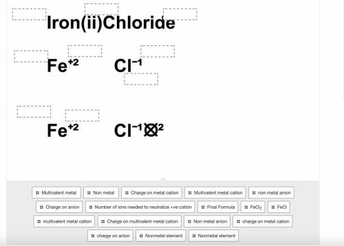 Match the options to correct boxes to write the formula for Iron(II)chloride???