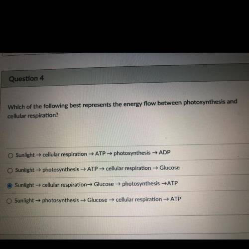 Which of the following best represents the energy flow between photosynthesis and

cellular respir