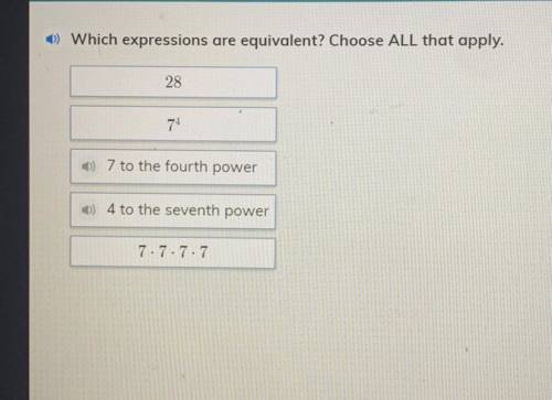 6) Which expressions are equivalent? Choose ALL that apply.

28
74
1) 7 to the fourth power
) 4 to