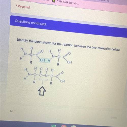 Help please the answers are

A. Ionic bond 
B.hydrogen bond
C.phosphodiester bond 
D. Peptide bond