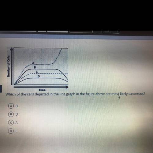 ITS A TIME TEST PLEASE HELP! Which of the cells depicted in the line graph in the figure above are