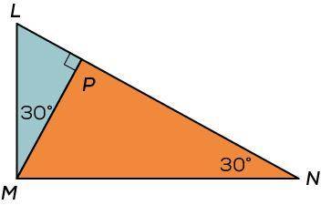 Determine if each statement is true or false.

Triangle L M N. Angle N is thirty degrees. From M,