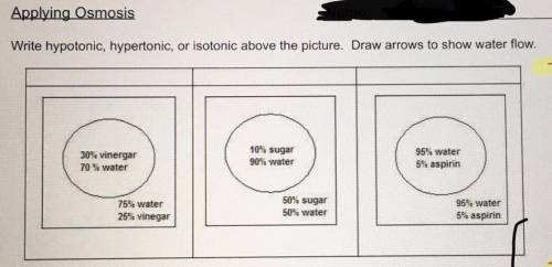 Applying Osmosis

Write hypotonic, hypertonic, or isotonic above the picture, Draw arrows to show