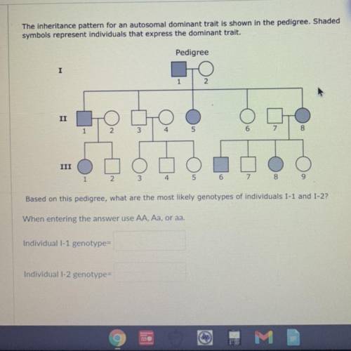 Based on this pedigree, what are the most likely genotypes of individuals I-1 and 1-2?

When enter