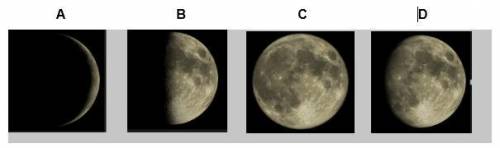 You are given a model of various phases of the moon, as shown below. You can tell right away that i