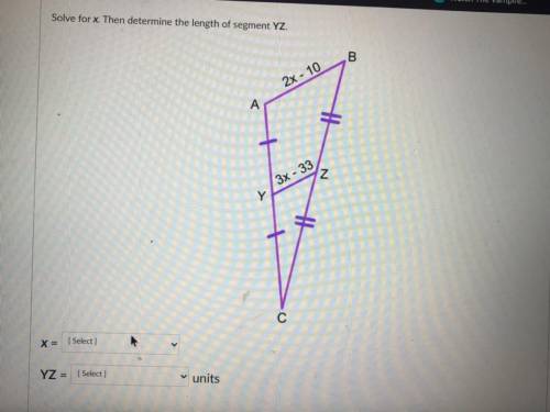 Can someone help me solve for X please