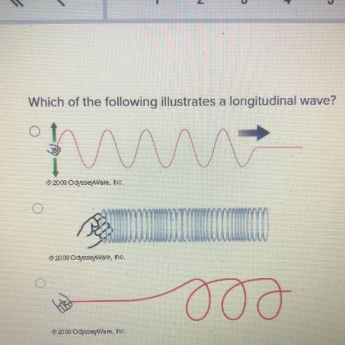 Which of the following illustrates a longitudinal wave?