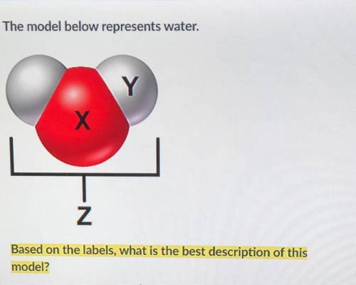 A. X represents a molecule; Y represents a particle; Z represents an atom of water

B. X represent