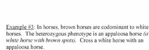 Example #3 : In horses, brown horses are codominant to white horses. The heterozygous phenotype is