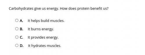 Carbohydrates give us energy. How does protein benefit us?

A. 
It helps build muscles.
B. 
It bur