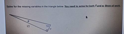 © 1 of 17 Solve for the missing variables in the triangle below. You need to solve for both 0 and w