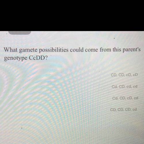 What gamete possibilities could come from this parent's

genotype CcDD?
A)CD, CD, cD, cD
B)Cd, CD,