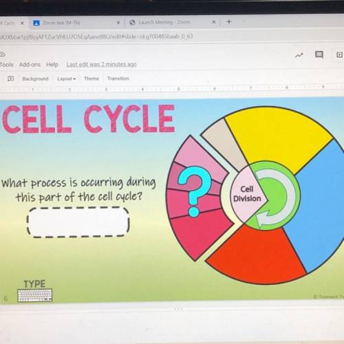 What process is occurring during this part of the cell cycle?