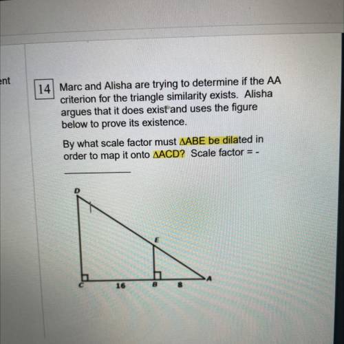 14 Marc and Alisha are trying to determine if the AA

criterion for the triangle similarity exists