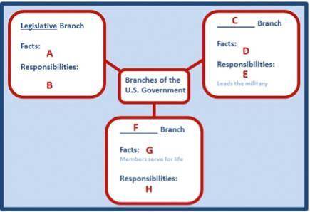 A graphic which has a box in the middle that says Branches of U.S. Government. There are three boxe