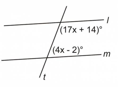 Solve for x and then find all the missing angles