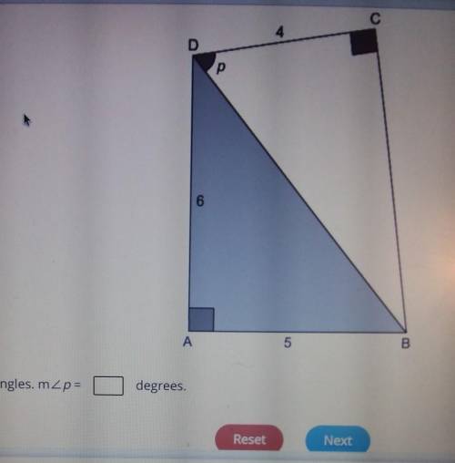 PLZ HELP angle A and angle C are right triangles. angle < p =__ degrees