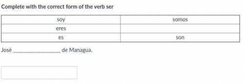 Complete with the correct form of the verb ser