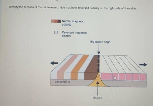 HELP FASTTT 20 POINTS Identify the sections of the mid-oceanic ridge that have reversed polarity o