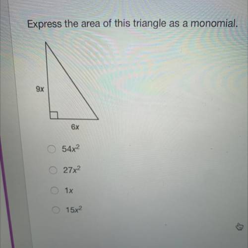 Express the area of this triangle as monomial