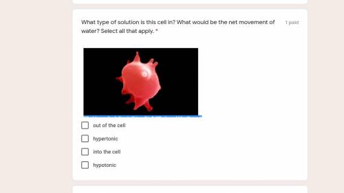 What type of solution is this cell in? What would be the net movement of water? Select all that app