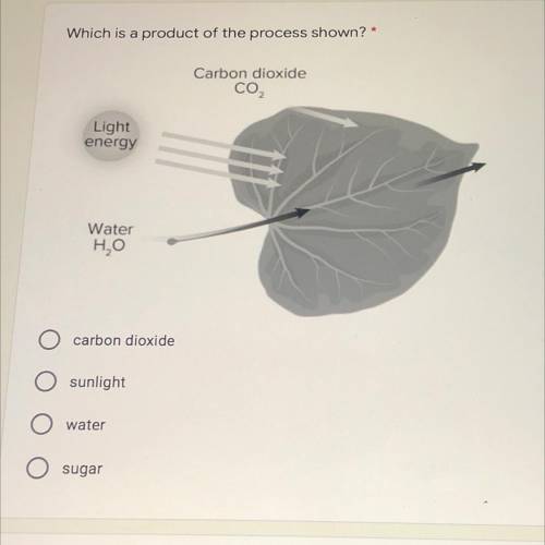 Please help meee Which is a product of the process shown?