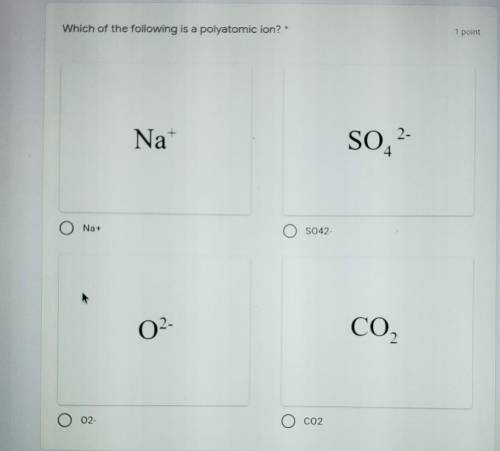 Which is a polyatomic ion