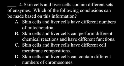 Skin cells and liver cells contain different sets of enzymes. Which of the following conclusions ca