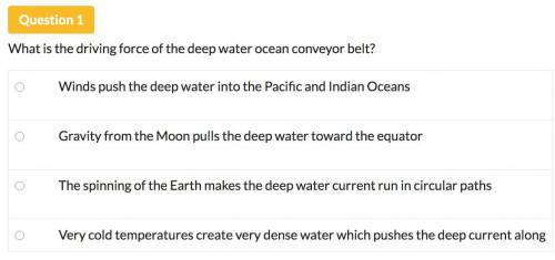 What is the driving force of the deepwater ocean conveyor belt?