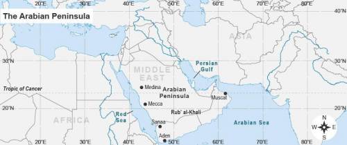 Based on Medina’s absolute location of 24ºN, 35ºE, what is most likely the climate in Medina?

tro