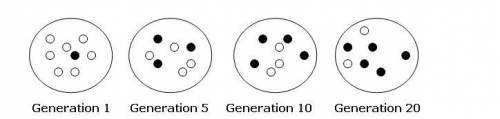 The figure above shows plates made from a culture growing bacteria during specified generations. Th