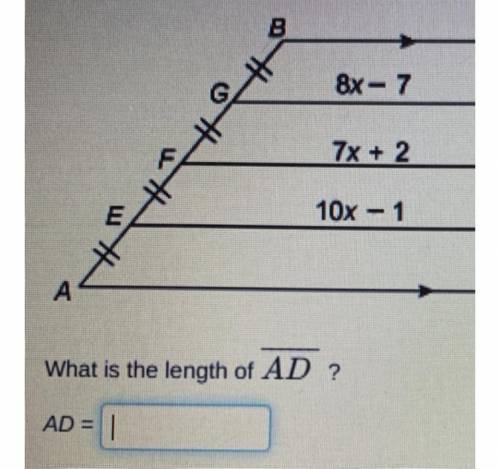 What is the length of AD? Bottom length.