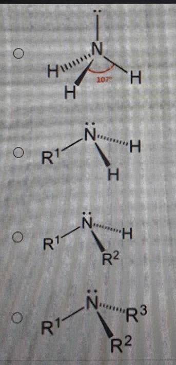 Which is a general representation of a secondary amine?

A. An N is bonded to two electron dots ab