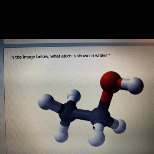 In the image below, what atom is shown in white? URGENT