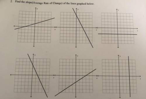 What are the slopes of the graphs