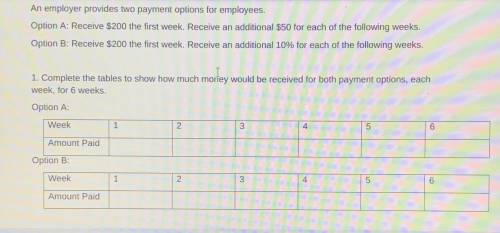 PLEASE HELP‼️‼️‼️

An employer provides two payme