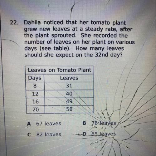 Dahlia noticed that her tomato plant grew new leaves at a steady rate, after the plant sprouted. Sh