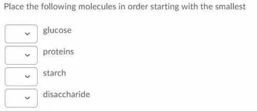 Place the following molecules in order starting from the smallest