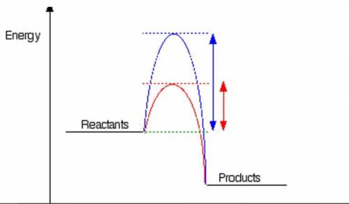 In the following diagram, what is responsible for the decrease in activation energy of the reaction